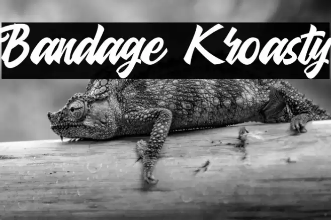 Bandage Kroasty Font examples