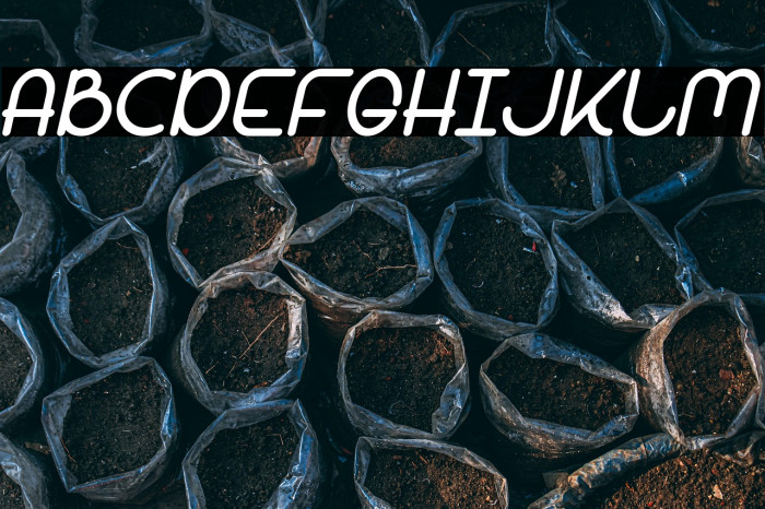 Bandar Bold Italic Example 1