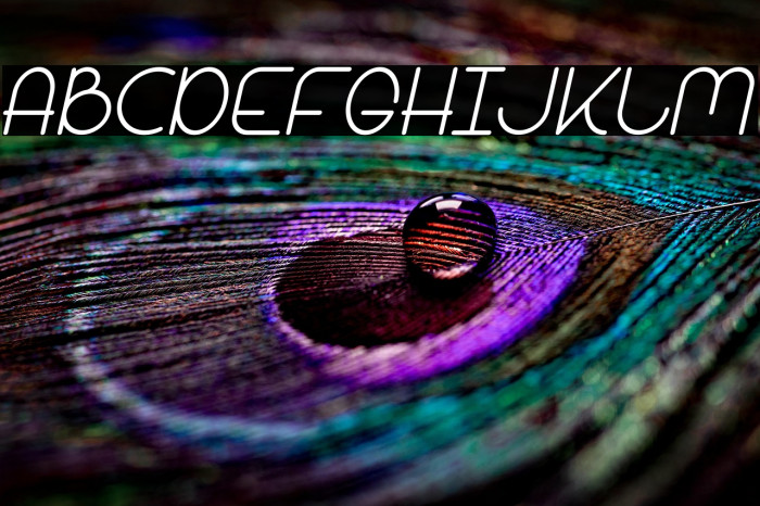 Bandar Italic Example 3