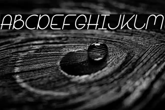 Bandar Italic Font examples