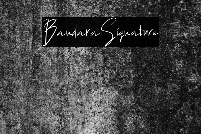 BandaraSignature Font examples