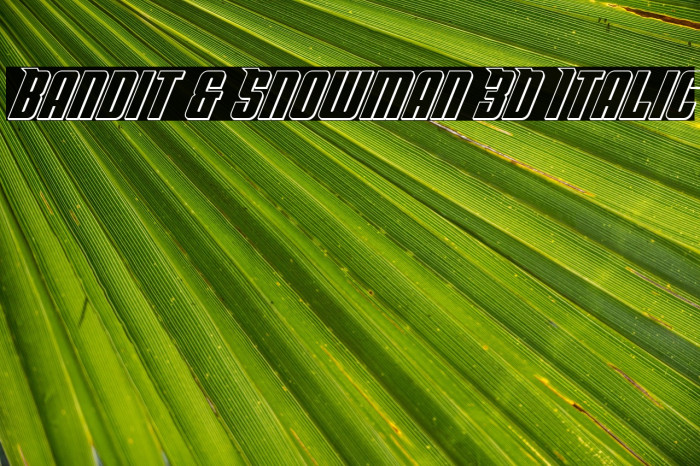 Bandit & Snowman 3D Italic Example 2