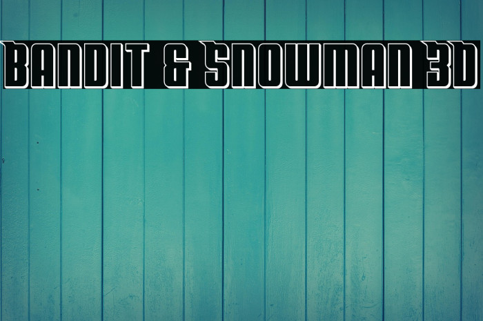 Bandit & Snowman 3D Example 1