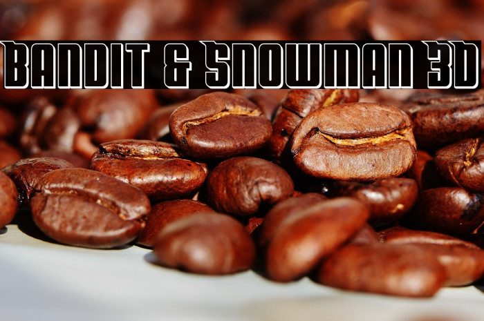 Bandit & Snowman 3D Example 2