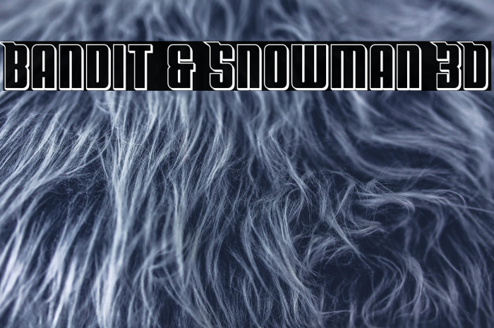 Bandit & Snowman 3D Example 3