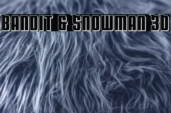 Bandit & Snowman 3D Example 3