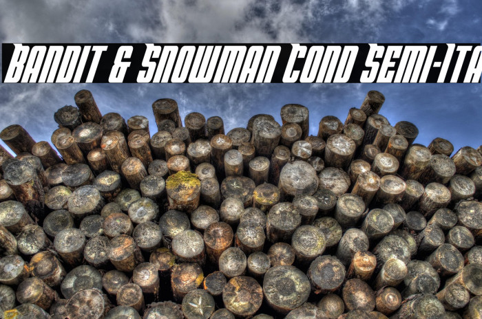 Bandit & Snowman Cond Semi-Ita Example 1