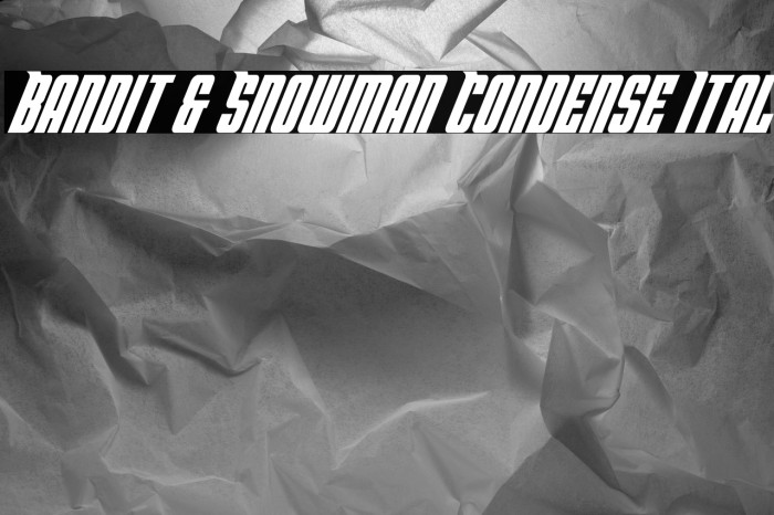 Bandit & Snowman Condense Ital Example 1