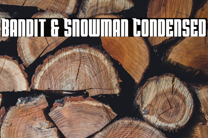 Bandit & Snowman Condensed Example 1