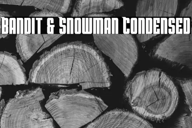 Bandit & Snowman Condensed Example 1