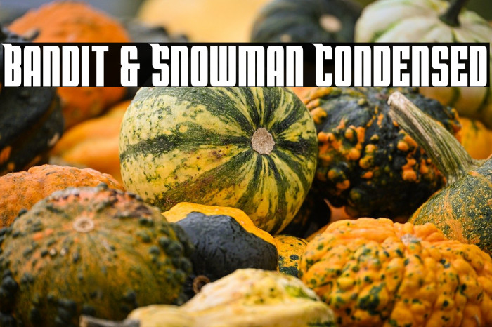 Bandit & Snowman Condensed Example 2