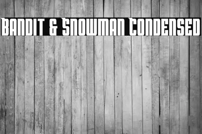 Bandit & Snowman Condensed Example 3