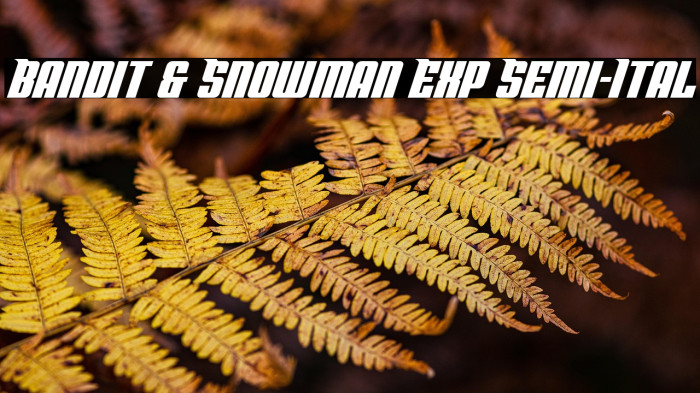 Bandit & Snowman Exp Semi-Ital Example 2