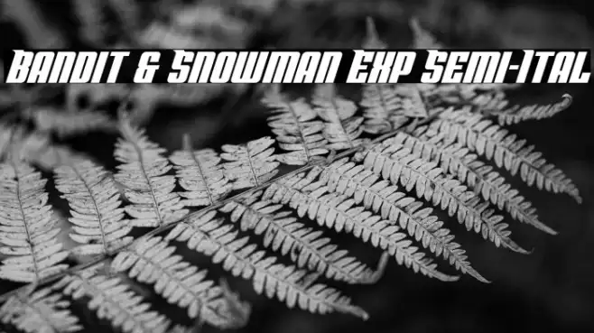 Bandit & Snowman Exp Semi-Ital Example 2
