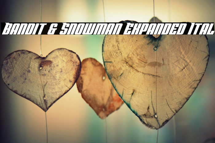 Bandit & Snowman Expanded Ital Example 1