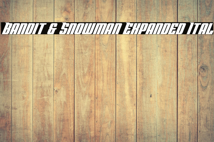 Bandit & Snowman Expanded Ital Example 2