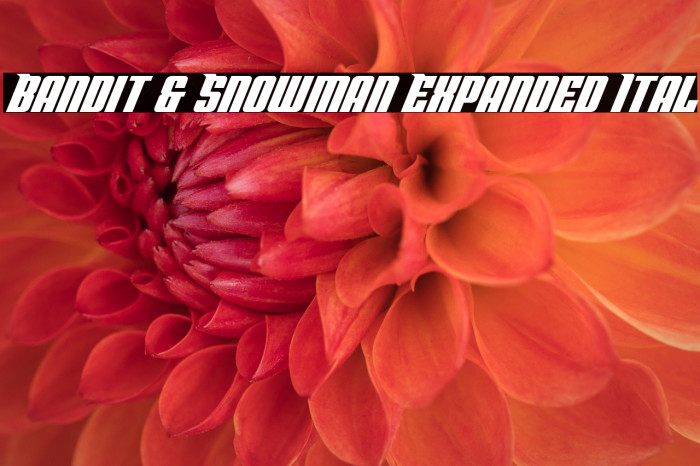 Bandit & Snowman Expanded Ital Example 3