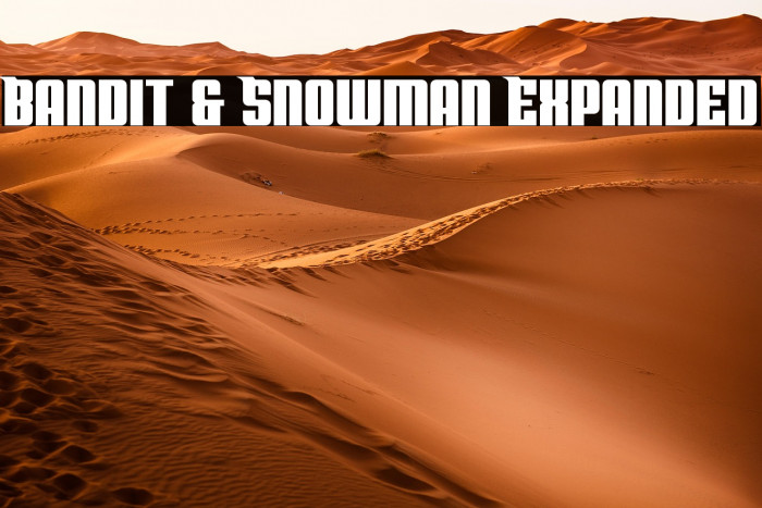 Bandit & Snowman Expanded Example 2