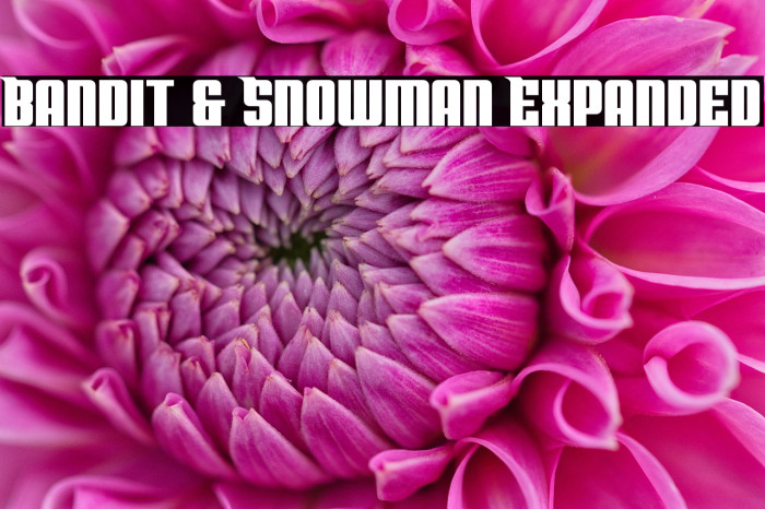 Bandit & Snowman Expanded Example 3