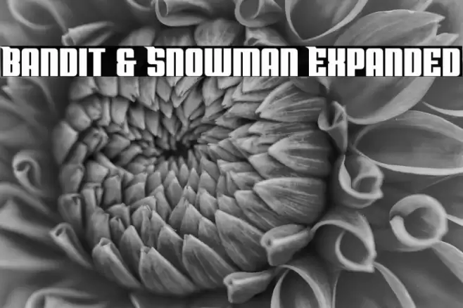 Bandit & Snowman Expanded Font examples
