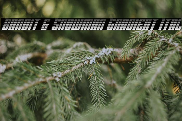 Bandit & Snowman Gradient Ital Example 2