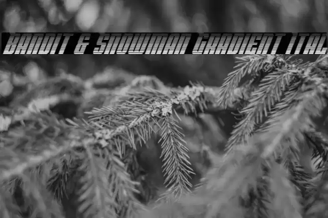 Bandit & Snowman Gradient Ital Font examples
