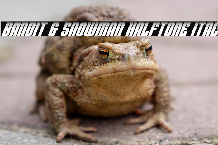 Bandit & Snowman Halftone Ital Example 1