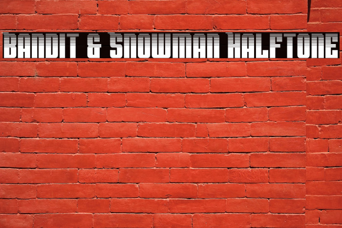 Bandit & Snowman Halftone Example 1