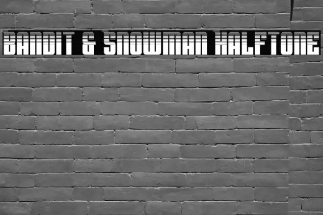Bandit & Snowman Halftone Example 1
