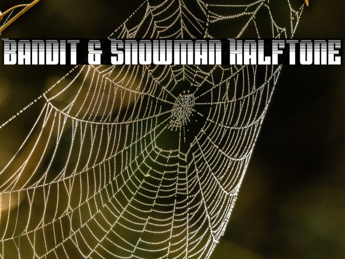 Bandit & Snowman Halftone Example 2