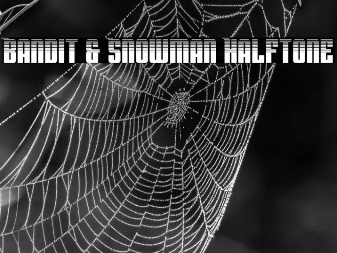 Bandit & Snowman Halftone Example 2
