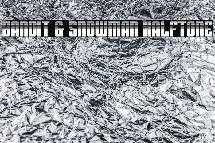 Bandit & Snowman Halftone Example 3