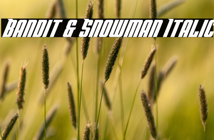 Bandit & Snowman Italic Example 3