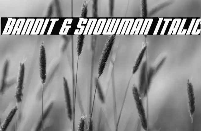 Bandit & Snowman Italic Font examples