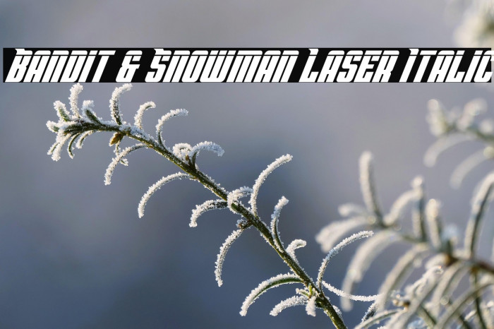 Bandit & Snowman Laser Italic Example 2