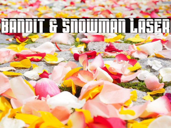 Bandit & Snowman Laser Example 3