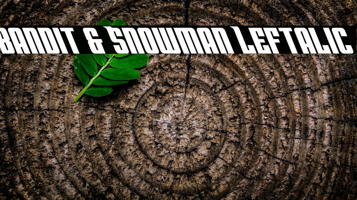 Bandit & Snowman Leftalic Example 3