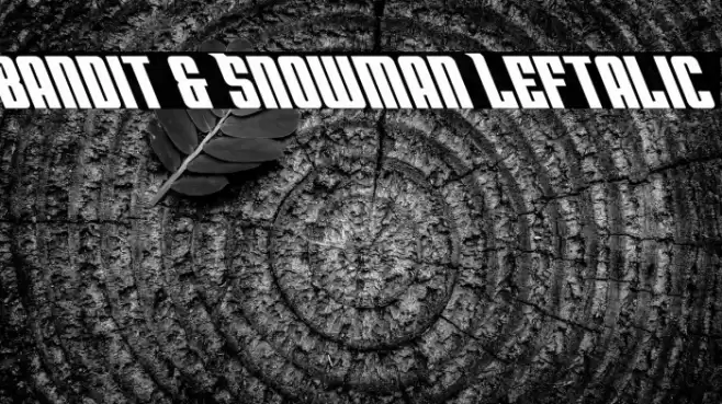 Bandit & Snowman Leftalic Font examples