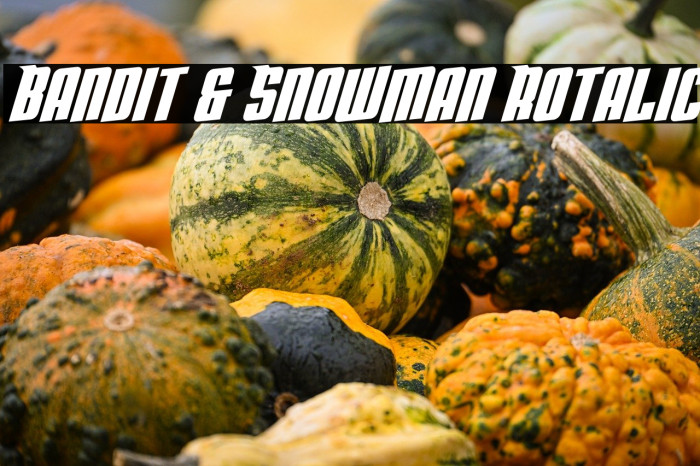 Bandit & Snowman Rotalic Example 1