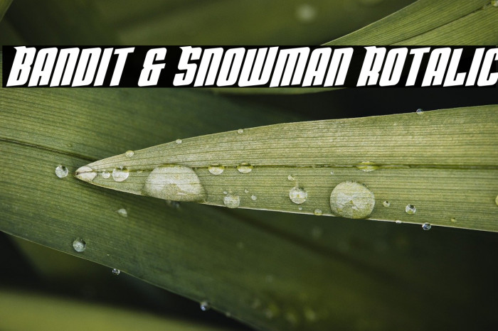 Bandit & Snowman Rotalic Example 3