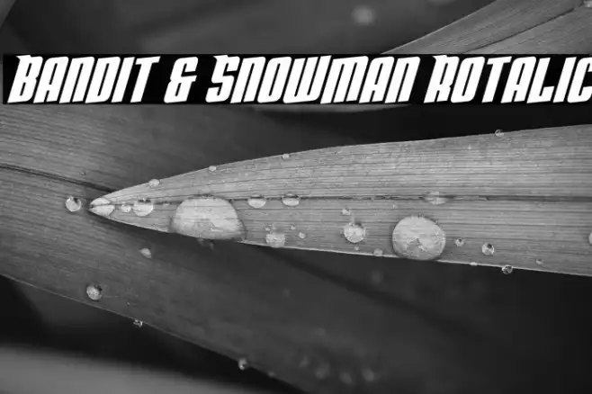 Bandit & Snowman Rotalic Example 3
