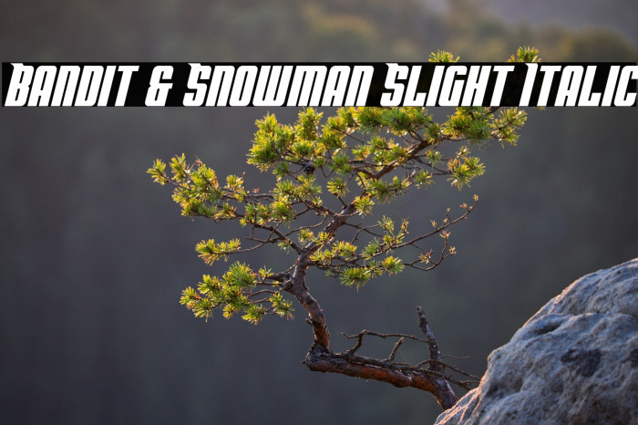 Bandit & Snowman Slight Italic Example 1