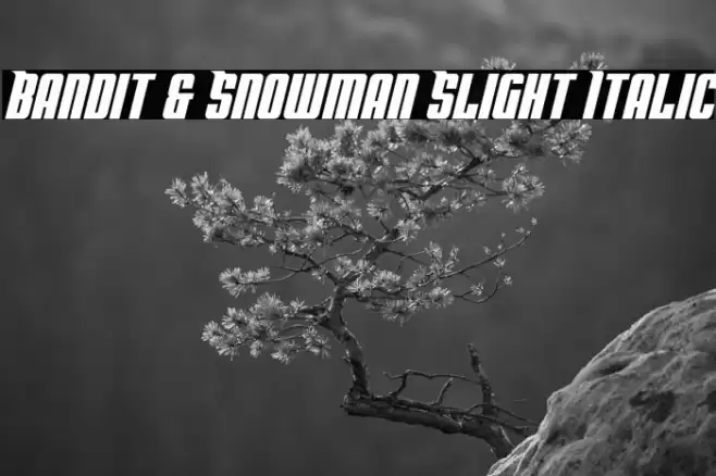 Bandit & Snowman Slight Italic Font examples