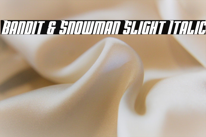 Bandit & Snowman Slight Italic Example 2