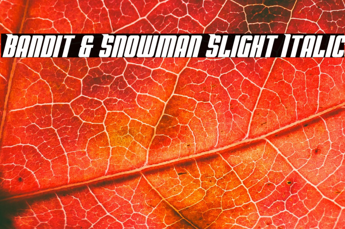 Bandit & Snowman Slight Italic Example 3