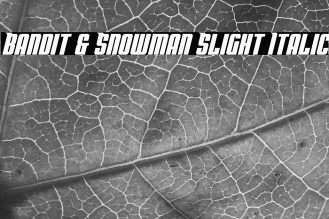 Bandit & Snowman Slight Italic Font examples