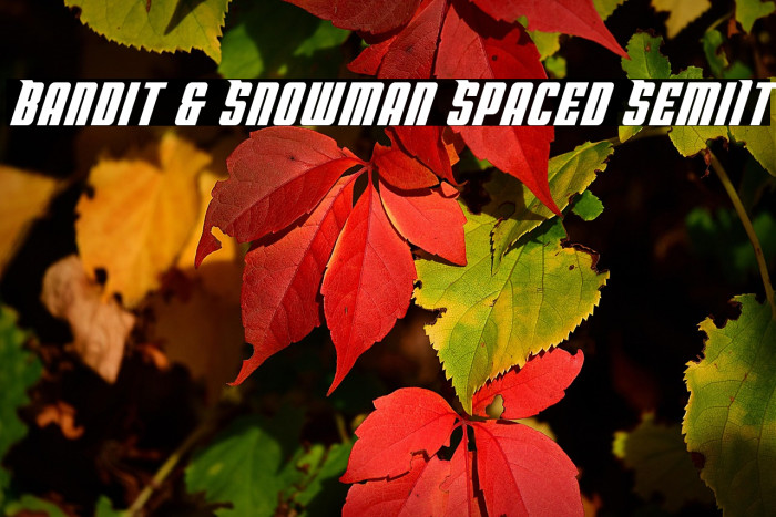 Bandit & Snowman Spaced SemiIt Example 2