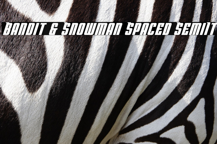 Bandit & Snowman Spaced SemiIt Example 3