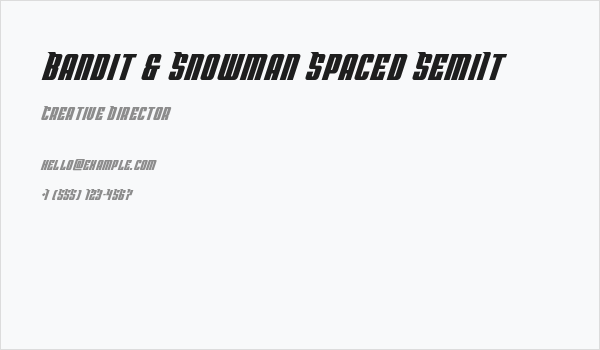 Bandit & Snowman Spaced SemiIt Business Card