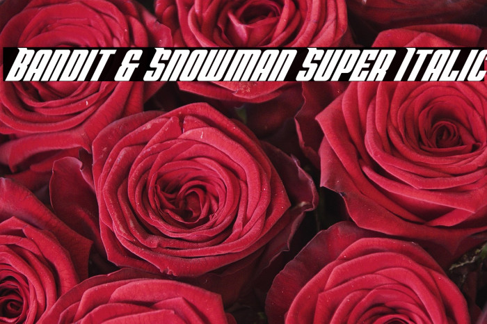 Bandit & Snowman Super Italic Example 1